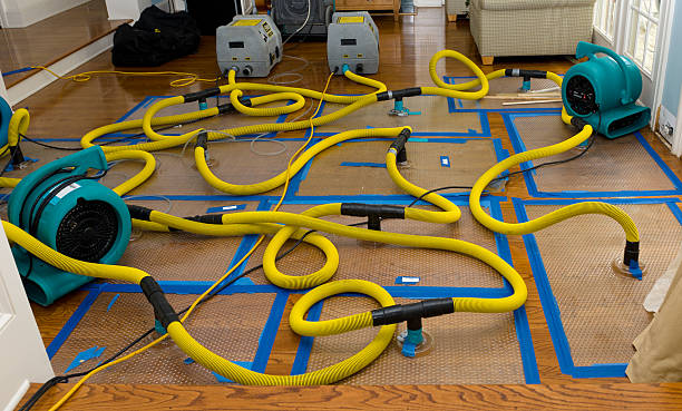Professional Crawl Space Water Removal technician working in Gilmore City, IA